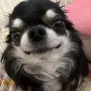 まみゆれもの画像