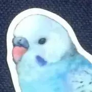 ぱなえの画像