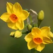 太郎※プロフ必読の画像