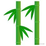 竹