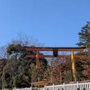 タコの画像