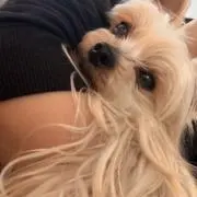 ことのん