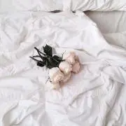 Mの画像