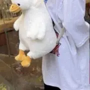 ももの画像