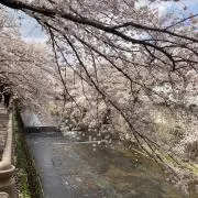 えいさんだい