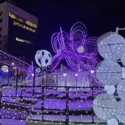 クローバーの画像