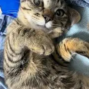 oプロフ必読‼️の画像