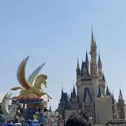 わわの画像
