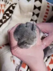 ななおの画像
