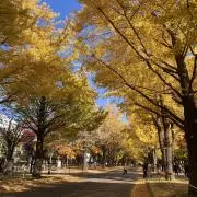 なあなの画像