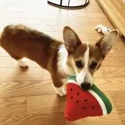 U.の画像