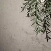 chicchi★断捨離中！の画像