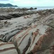 kaayu