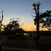 あの画像