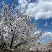 KuWiSo/プロフ必読