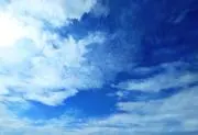 Lucyの画像