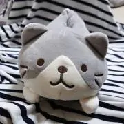 ミヒロ