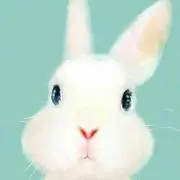 うーꪔ̤̮⋆*