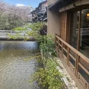あふゅーりー