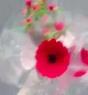 にう※プロフ読んでね※の画像