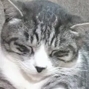 momoren