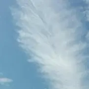 青い空の画像