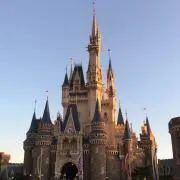 ディズニー大好きの画像