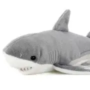 さめのすけの画像
