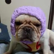 やんちゃ