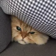 ひなた1023の画像