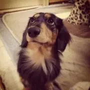 ピース