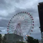 隼0056
