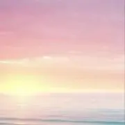 sariの画像