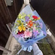 わっひょいの画像