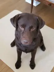との画像