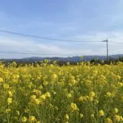 ききここの画像