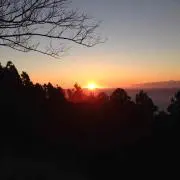 まつ　即購入OK