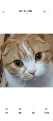 T.Sの画像