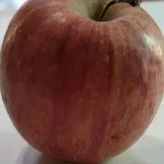 rinn5の画像
