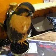 ラガルン@【全ての挨拶不要】プロフ必読