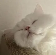 mの画像