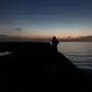 くまのみの画像