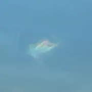 にじの画像