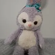 みーちゃんの画像