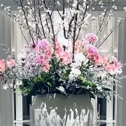 AYAの画像