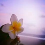 そらの画像