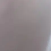 炙りサーモンの画像
