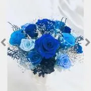 Mi.☆彡 6/5～7迄発送は休みますの画像