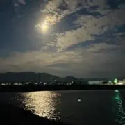 まるまるの画像