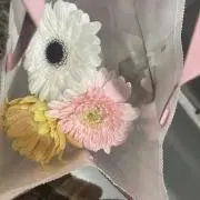 みかん 断捨離中の画像